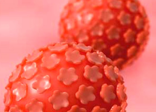 Actualización en Infecciones Tocoginecológicas y de Transmisión Sexual